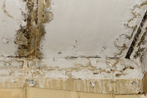 Best Post-Remediation Verification Testing  in Atlantic Beach, NY